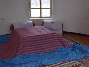 اقامتگاه بوم گردی باغ پایین شهمیرزاد اقامتگاه بوم گردی باغ پایین شهمیرزاد