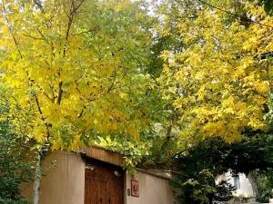 اقامتگاه بوم گردی لرگا شهمیرزاد اقامتگاه بوم گردی لرگا شهمیرزاد