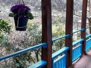 اقامتگاه بوم گردی دنج رودبار اقامتگاه بوم گردی دنج رودبار