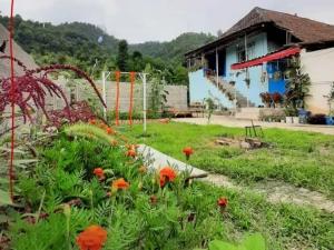 اقامتگاه بوم گردی تارال نوید چوبر اقامتگاه بوم گردی تارال نوید چوبر