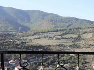 اقامتگاه بوم گردی کلبه طوبی نوشهر اقامتگاه بوم گردی کلبه طوبی نوشهر