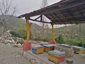 اقامتگاه بوم گردی عمارت فرشتگان تنکابن اقامتگاه بوم گردی عمارت فرشتگان تنکابن