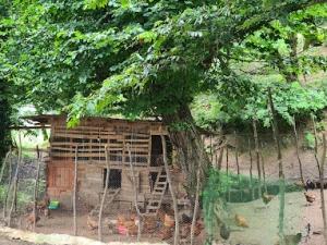 اقامتگاه بوم گردی سفیداب رودبار اقامتگاه بوم گردی سفیداب رودبار