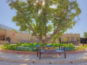 اقامتگاه بوم گردی بلوط تاف کاسیت خرم آباد اقامتگاه بوم گردی بلوط تاف کاسیت خرم آباد