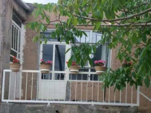 اقامتگاه بوم گردی کومه سبز شاهرود اقامتگاه بوم گردی کومه سبز شاهرود