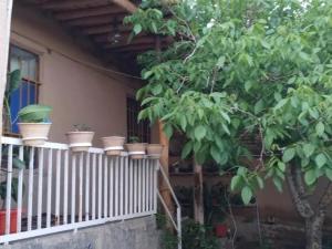 اقامتگاه بوم گردی کومه سبز شاهرود اقامتگاه بوم گردی کومه سبز شاهرود