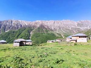 اقامتگاه بوم گردی نوشا تنکابن اقامتگاه بوم گردی نوشا تنکابن