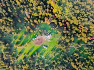 اقامتگاه بوم گردی دیاسره آمل اقامتگاه بوم گردی دیاسره آمل