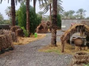 اقامتگاه بوم گردی قلعه نو جیرفت اقامتگاه بوم گردی قلعه نو جیرفت