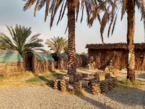 اقامتگاه بوم گردی قلعه نو جیرفت اقامتگاه بوم گردی قلعه نو جیرفت