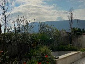 ویلا دوخوابه فلت کاظم نژاد کلار آباد ویلا دوخوابه فلت کاظم نژاد کلار آباد