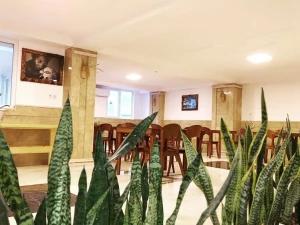 هتل آپارتمان رزایند بابلسر هتل آپارتمان رزایند بابلسر