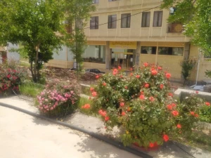 هتل آپارتمان دلنشین جوانرود هتل آپارتمان دلنشین جوانرود