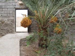 اقامتگاه بوم گردی بابا قدرت خور و بیابانک اقامتگاه بوم گردی بابا قدرت خور و بیابانک