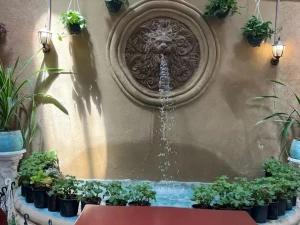 خانه مسافر فونیکس شیراز خانه مسافر فونیکس شیراز