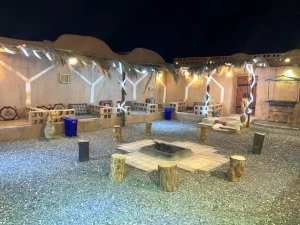 بومگردی شب نشین انارک بومگردی شب نشین انارک