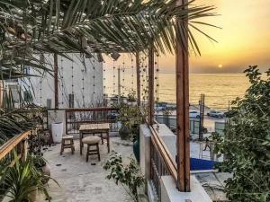 اقامتگاه بوم گردی مان همیشه سبز بوشهر اقامتگاه بوم گردی مان همیشه سبز بوشهر