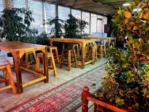 مهمانپذیر سلین تهران مهمانپذیر سلین تهران