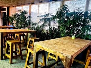 مهمانپذیر سلین تهران مهمانپذیر سلین تهران