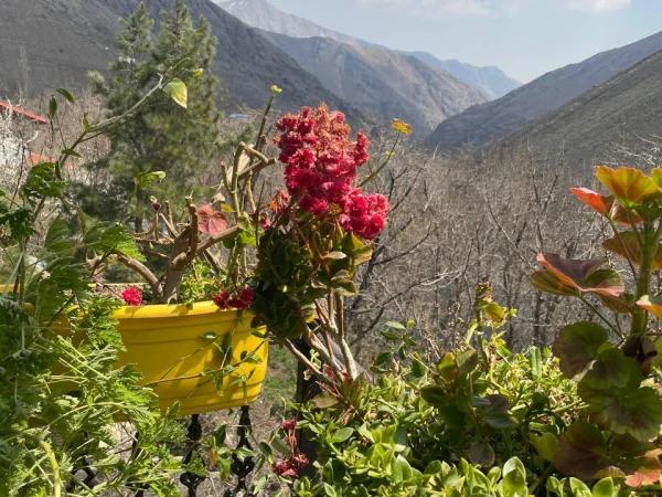 ویلا دربستی کوهسار امام زاده داوود ویلا دربستی کوهسار امام زاده داوود