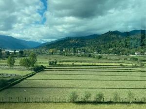 هتل آرام ماسوله هتل آرام ماسوله