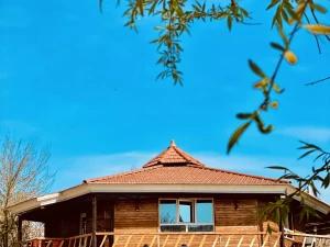 کافی شاپ هتل داریوش بجنورد کافی شاپ هتل داریوش بجنورد