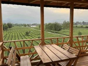 اقامتگاه بومگردی تی باغ فومن اقامتگاه بومگردی تی باغ فومن