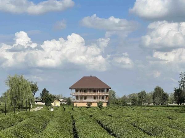 اقامتگاه بومگردی تی باغ فومن اقامتگاه بومگردی تی باغ فومن