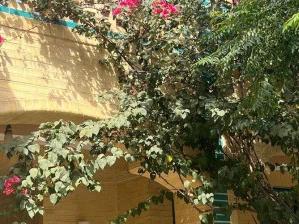 تور هوایی تهران به یزد هتل پارسیان تور هوایی تهران به یزد هتل پارسیان