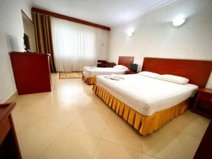 تور ریلی تهران به مشهد هتل هلیا 1 تور ریلی تهران به مشهد هتل هلیا 1