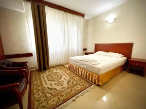 تور ریلی تهران به مشهد هتل هلیا 1 تور ریلی تهران به مشهد هتل هلیا 1