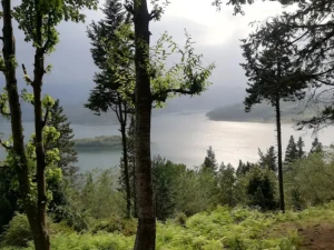 تورریلی یک روزه تهران به سواد کوه تا سد لفور تورریلی یک روزه تهران به سواد کوه تا سد لفور