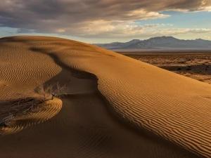 تورریلی یکروزه تهران به کاشان کویرابوزیداباد تورریلی یکروزه تهران به کاشان کویرابوزیداباد