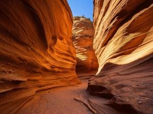 تور ریلی تهران به طبس تا کال جنی تور ریلی تهران به طبس تا کال جنی