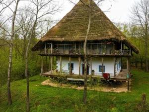 تور ریلی تهران به رشت تا ساحل کاسپین تور ریلی تهران به رشت تا ساحل کاسپین