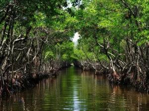 تور ریلی تهران به قشم هنگام هرمز تور ریلی تهران به قشم هنگام هرمز