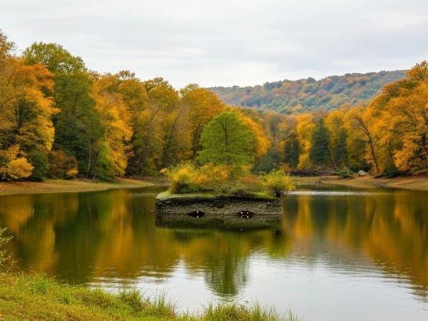 تور ریلی یک روزه تهران به دریا و جنگل تور ریلی یک روزه تهران به دریا و جنگل