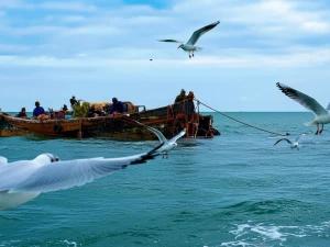 تور ریلی یک روزه تهران به دریا و جنگل تور ریلی یک روزه تهران به دریا و جنگل