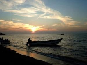 تور ریلی یک روزه تهران به دریا و جنگل تور ریلی یک روزه تهران به دریا و جنگل