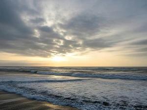 تور ریلی یک روزه تهران به دریا و جنگل تور ریلی یک روزه تهران به دریا و جنگل