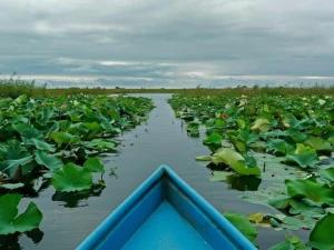 تور ریلی یکروزه تهران به سراوان تا رشت تور ریلی یکروزه تهران به سراوان تا رشت