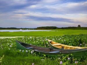 تور ریلی یکروزه تهران به سراوان تا رشت تور ریلی یکروزه تهران به سراوان تا رشت