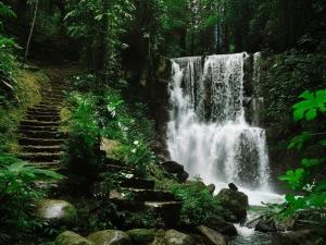 تور ریلی یکروزه تهران به سیاهکل به دیلمان تور ریلی یکروزه تهران به سیاهکل به دیلمان