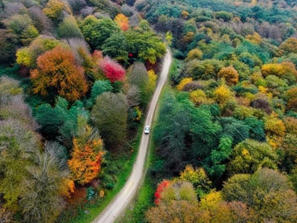 تور ریلی تهران به جنگل راش تور ریلی تهران به جنگل راش