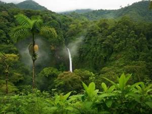 تور ریلی تهران به جنگل راش تور ریلی تهران به جنگل راش