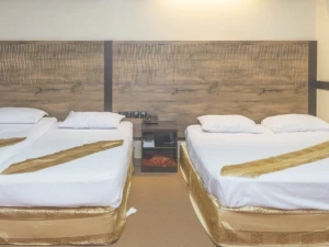 تورهوایی تهران به مشهد هتل آپادانا تورهوایی تهران به مشهد هتل آپادانا