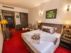 تور هوایی ساری به مشهد هتل کیانا تور هوایی ساری به مشهد هتل کیانا