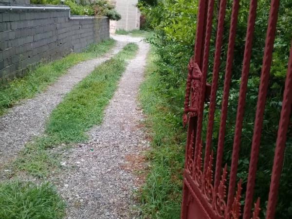 ویلا باغ استخردار مستر رامسر ویلا باغ استخردار مستر رامسر