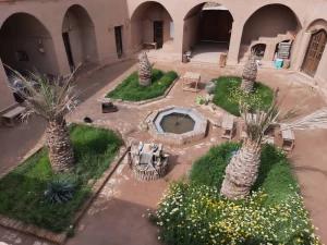 بوم گردی نخل و نرگس طبس بوم گردی نخل و نرگس طبس