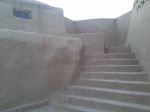 بوم گردی نخل و نرگس طبس بوم گردی نخل و نرگس طبس